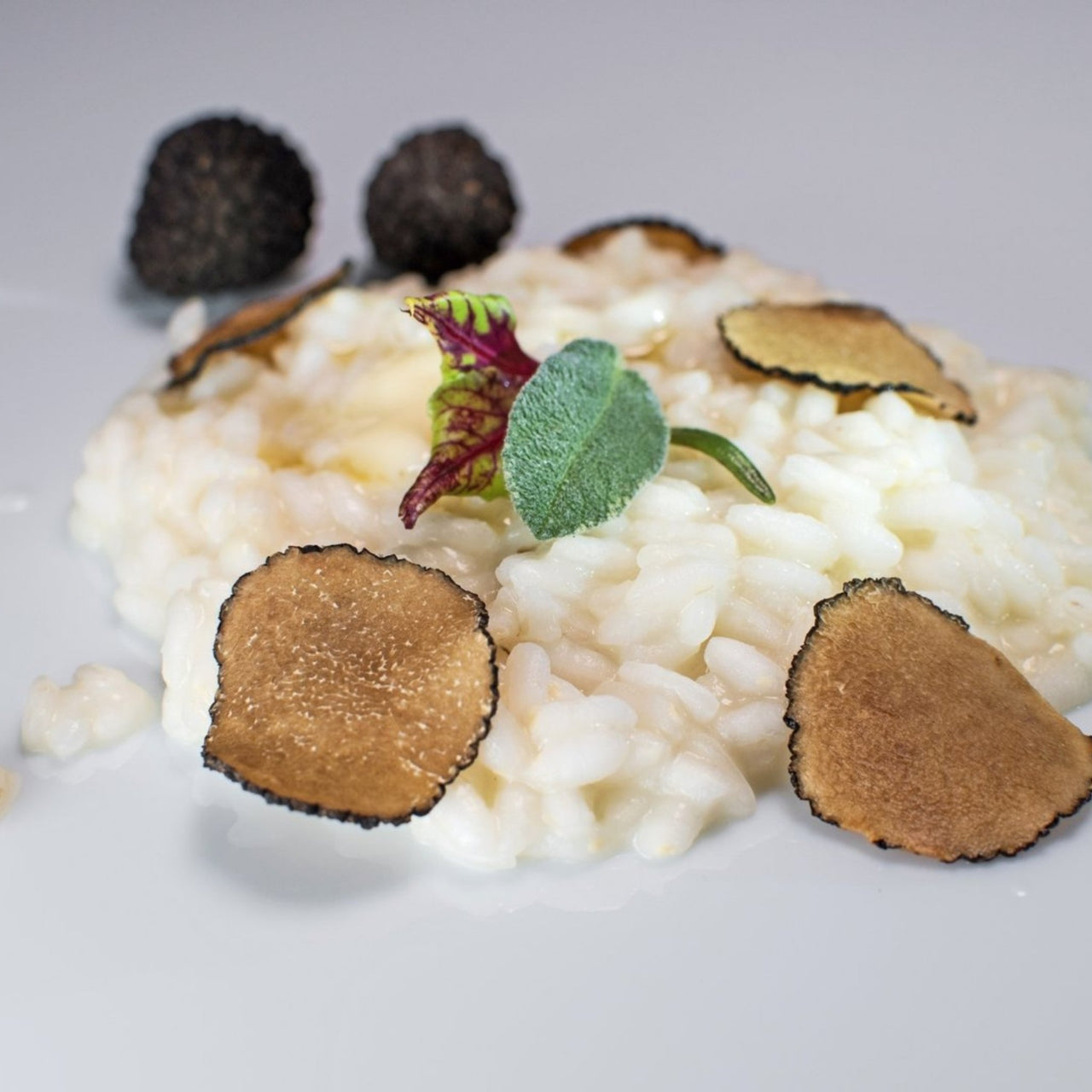 Risotto with black lyophilized truffles | Marqt.no