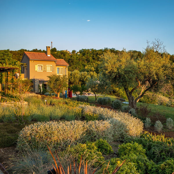 Istrian Gourmet Summer Escape for Two - Marqt.no