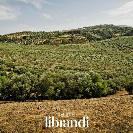 Organic extra virgin olive oil Librandi - Marqt.no
