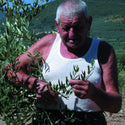 Organic extra virgin olive oil Viola - Marqt.no